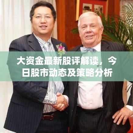 大资金最新股评解读，今日股市动态及策略分析