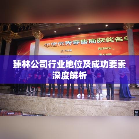臻林公司行业地位及成功要素深度解析