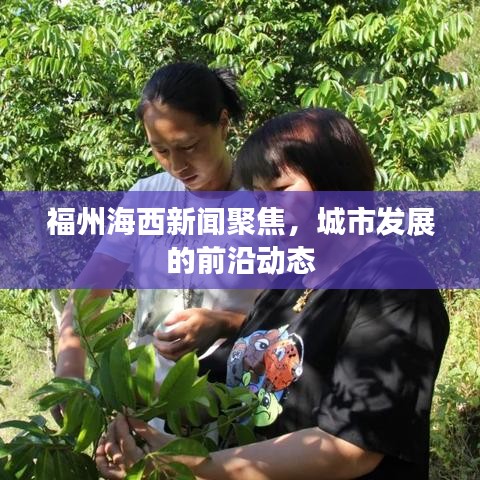 布被瓦器 第2页