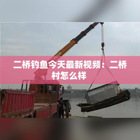 二桥钓鱼今天最新视频：二桥村怎么样 
