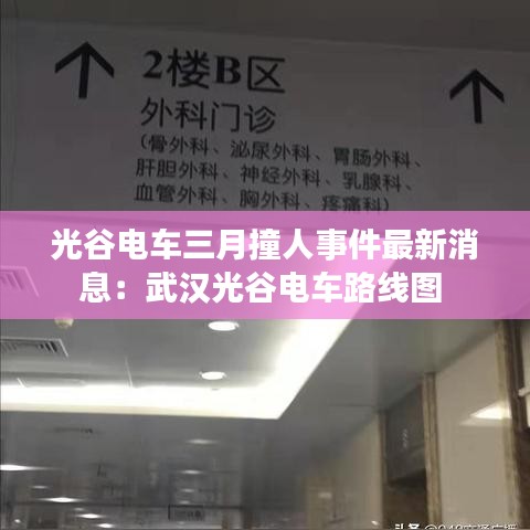光谷电车三月撞人事件最新消息：武汉光谷电车路线图 