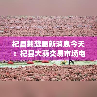 杞县栽蒜最新消息今天：杞县大蒜交易市场电话 