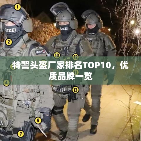 特警头盔厂家排名TOP10，优质品牌一览