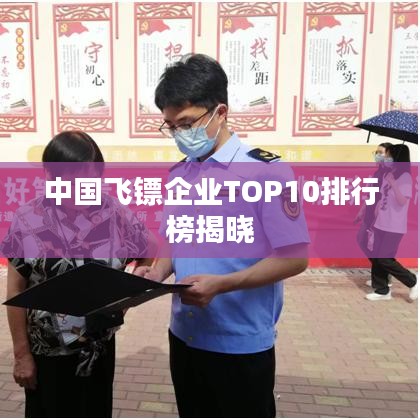 中国飞镖企业TOP10排行榜揭晓