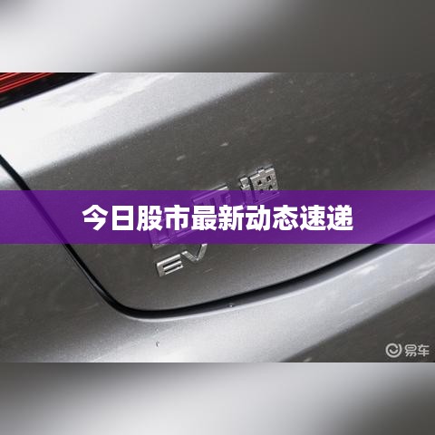 今日股市最新动态速递