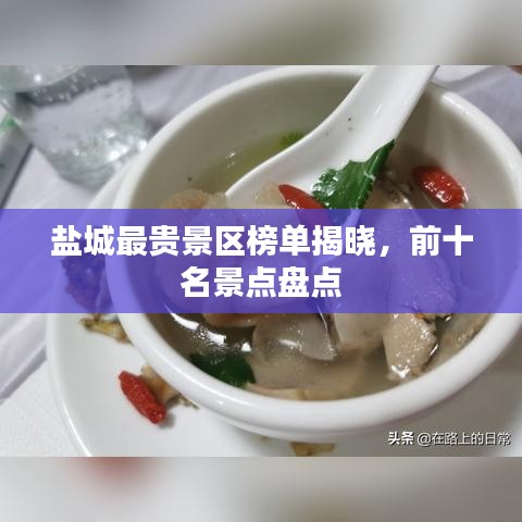 盐城最贵景区榜单揭晓，前十名景点盘点