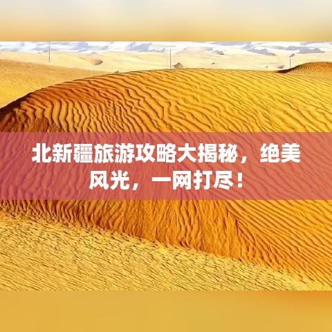 北新疆旅游攻略大揭秘，绝美风光，一网打尽！