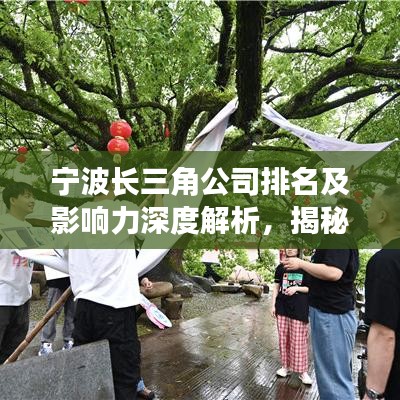 宁波长三角公司排名及影响力深度解析，揭秘行业巨头背后的力量！