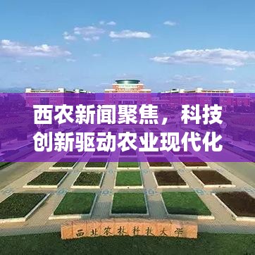 西农新闻聚焦，科技创新驱动农业现代化发展引领时代潮流