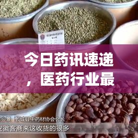 今日药讯速递，医药行业最新动态与趋势展望