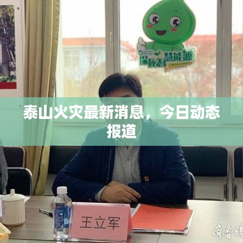 泰山火灾最新消息，今日动态报道