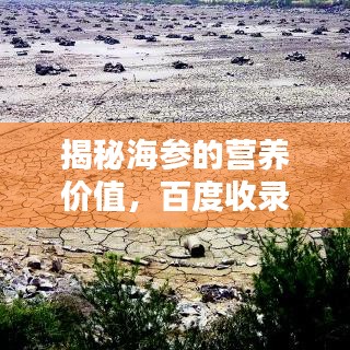 揭秘海参的营养价值，百度收录标准吸睛标题推荐