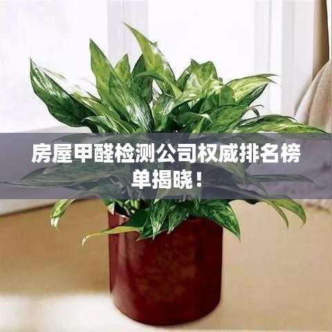 房屋甲醛检测公司权威排名榜单揭晓！
