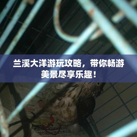 虎视眈眈 第2页