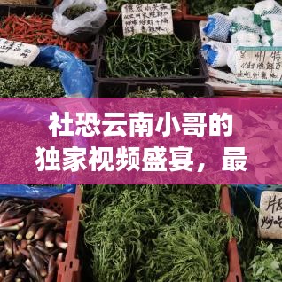 社恐云南小哥的独家视频盛宴，最新大片全收录！