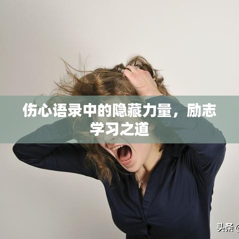 伤心语录中的隐藏力量，励志学习之道