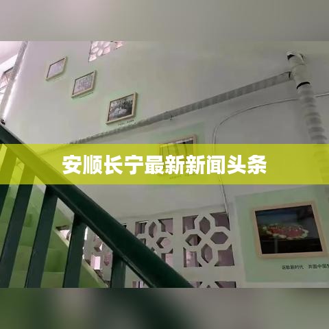 安顺长宁最新新闻头条