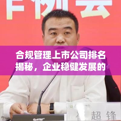 合规管理上市公司排名揭秘，企业稳健发展的关键因素探究