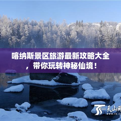 喀纳斯景区旅游最新攻略大全，带你玩转神秘仙境！