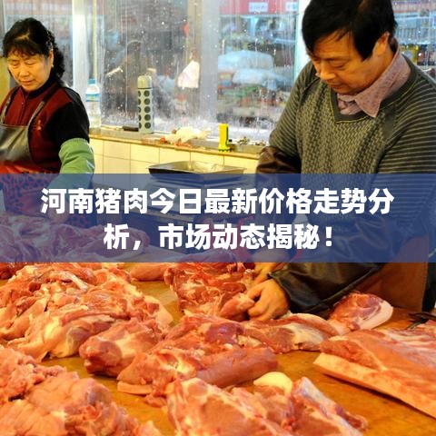 河南猪肉今日最新价格走势分析，市场动态揭秘！