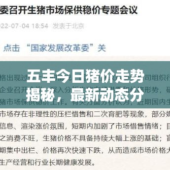 五丰今日猪价走势揭秘，最新动态分析与预测