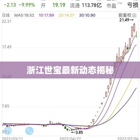 浙江世宝最新动态揭秘