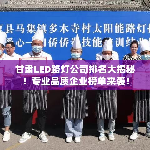 甘肃LED路灯公司排名大揭秘！专业品质企业榜单来袭！