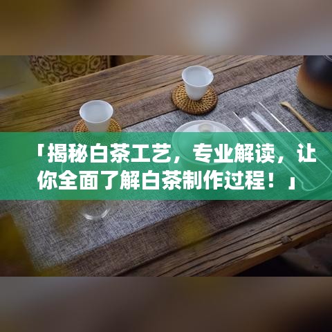 「揭秘白茶工艺，专业解读，让你全面了解白茶制作过程！」
