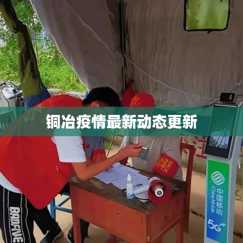 铜冶疫情最新动态更新