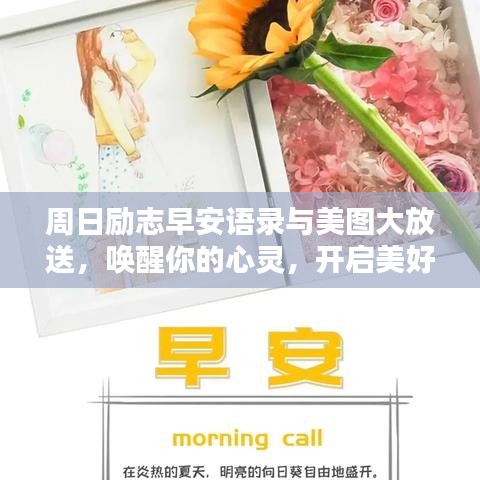周日励志早安语录与美图大放送，唤醒你的心灵，开启美好一天！