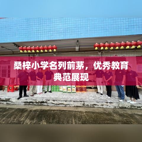 桑梓小学名列前茅，优秀教育典范展现