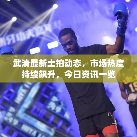 武清最新土拍动态，市场热度持续飙升，今日资讯一览