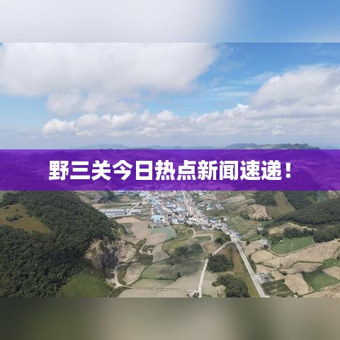 野三关今日热点新闻速递！