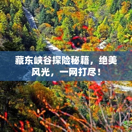 藏东峡谷探险秘籍，绝美风光，一网打尽！
