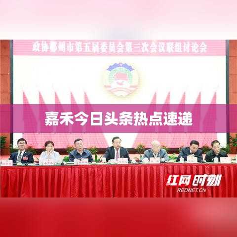 嘉禾今日头条热点速递