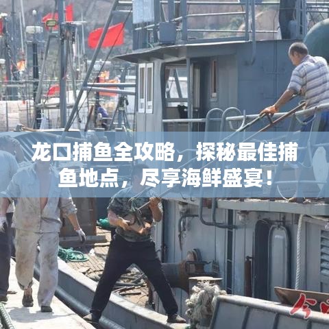 龙口捕鱼全攻略，探秘最佳捕鱼地点，尽享海鲜盛宴！