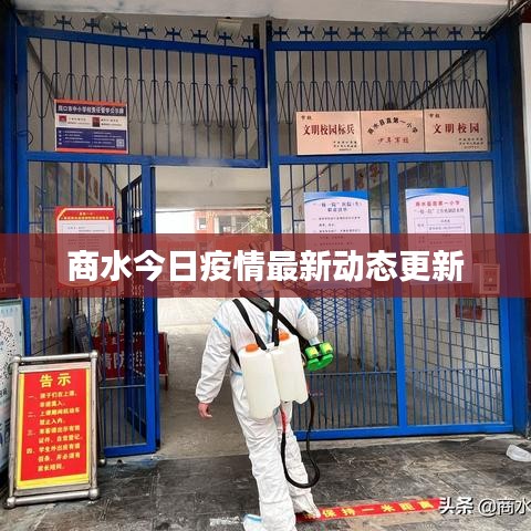 商水今日疫情最新动态更新