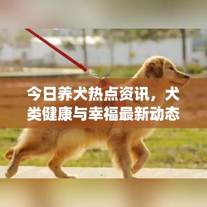 今日养犬热点资讯，犬类健康与幸福最新动态视频发布