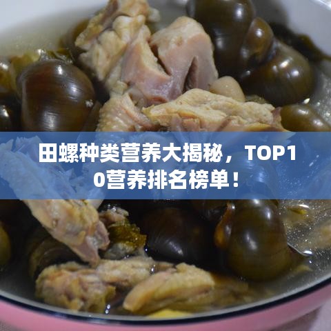 田螺种类营养大揭秘，TOP10营养排名榜单！