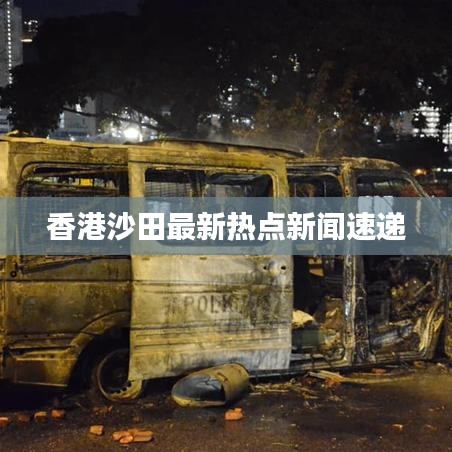 香港沙田最新热点新闻速递