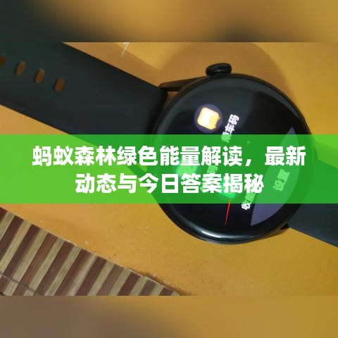 蚂蚁森林绿色能量解读，最新动态与今日答案揭秘