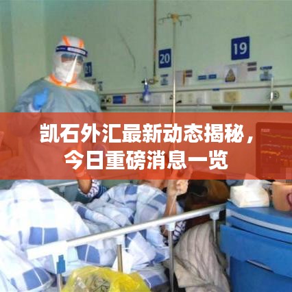 凯石外汇最新动态揭秘，今日重磅消息一览
