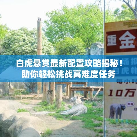 白虎悬赏最新配置攻略揭秘！助你轻松挑战高难度任务
