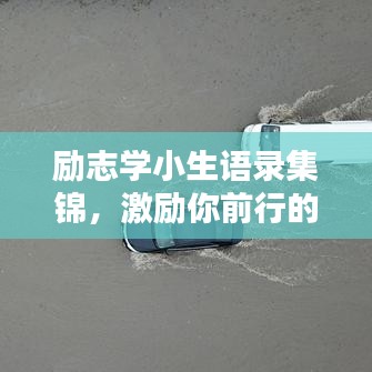 励志学小生语录集锦，激励你前行的力量！