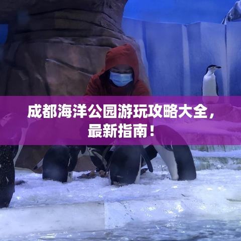 成都海洋公园游玩攻略大全，最新指南！