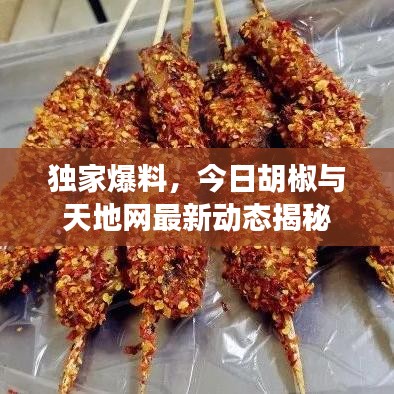 独家爆料，今日胡椒与天地网最新动态揭秘