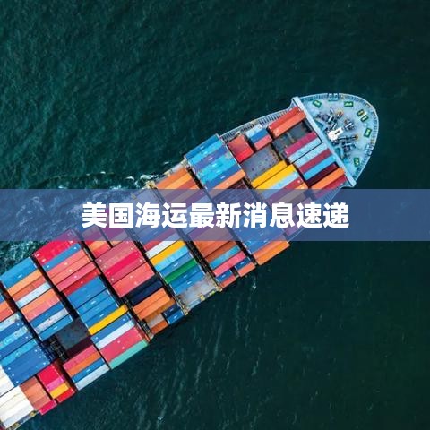 美国海运最新消息速递