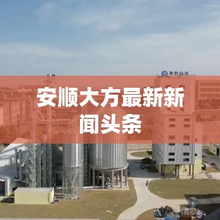 安顺大方最新新闻头条
