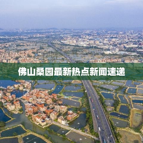 佛山桑园最新热点新闻速递