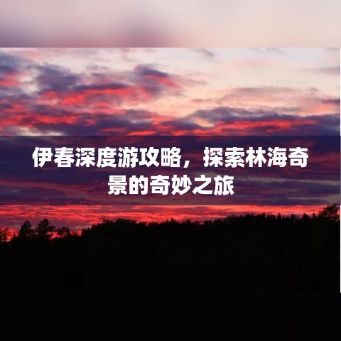 伊春深度游攻略，探索林海奇景的奇妙之旅